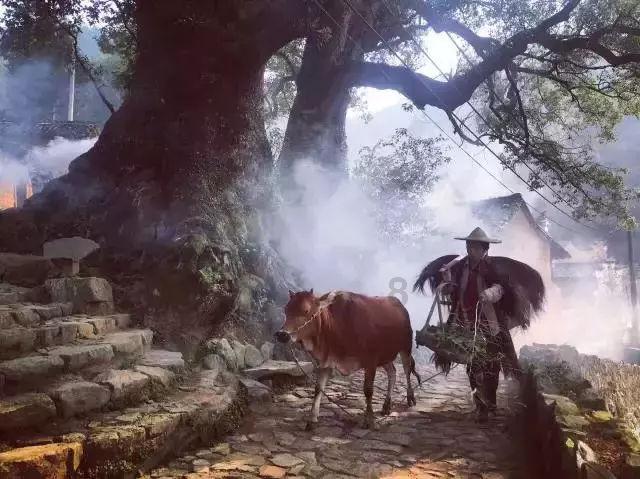 张家口地质博物馆被授予国家自然资源科普基地